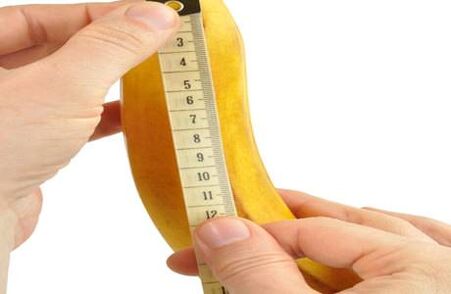 Normal penis size
